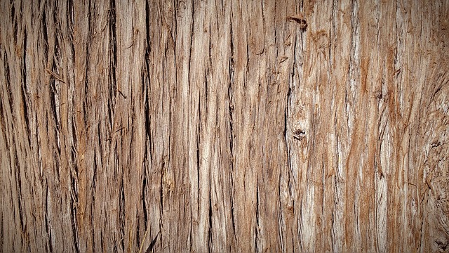 Want Fast Access To Great Ideas On Woodworking? Check This Out!