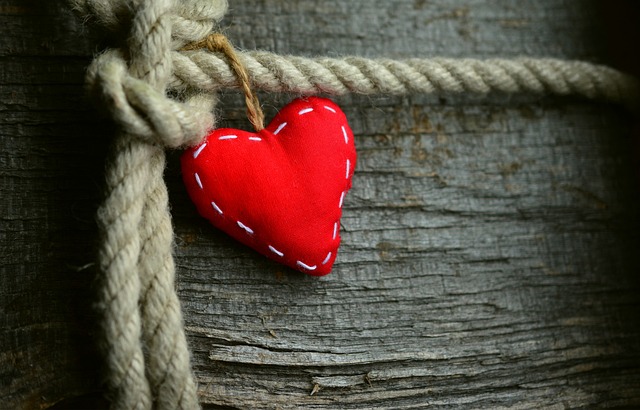 Seeking Knowledge About Woodworking? You Need To Read This Article!