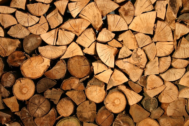 The Best, Most Comprehensive List Of Tips About Woodworking You’ll Find