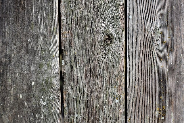 Every Last Tip We Provide On Woodworking Is Top Notch
