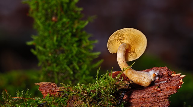 You Need To Read These Tips Regarding Woodworking Right Now